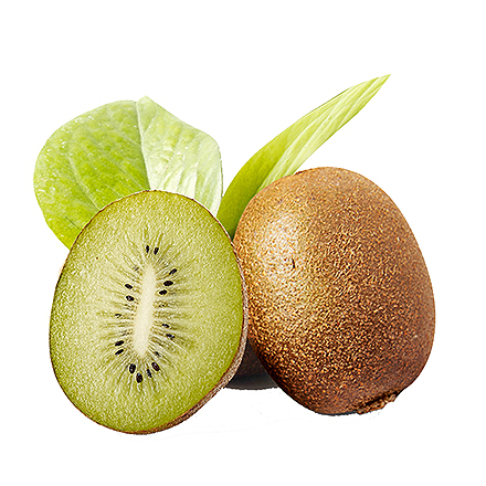 爱游戏手机版产品中心六